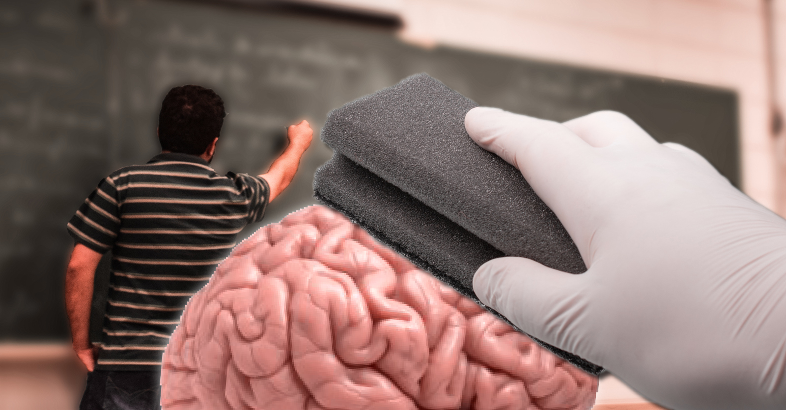 Gehirnwäsche in Schulen und Universitäten