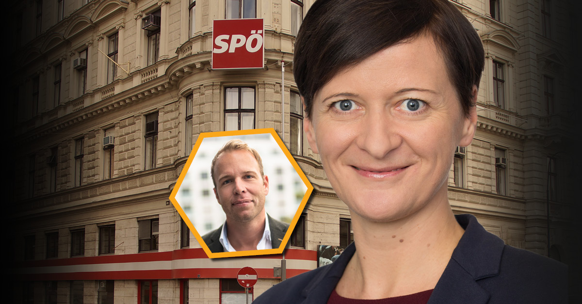 Sabine Schatz (SPÖ), Stefan Magnet