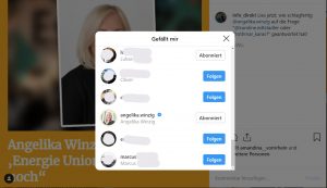 Angelika Winzig (ÖVP) liked ihr Interview mit Info-DIREKT auf der Instagram-Seite von Info-DIREKT.