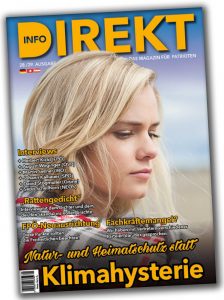 Info-DIREKT Ausgabe 28/29