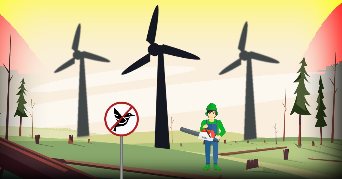 Energiewende: Nächster Märchenwald wird Windrädern geopfert