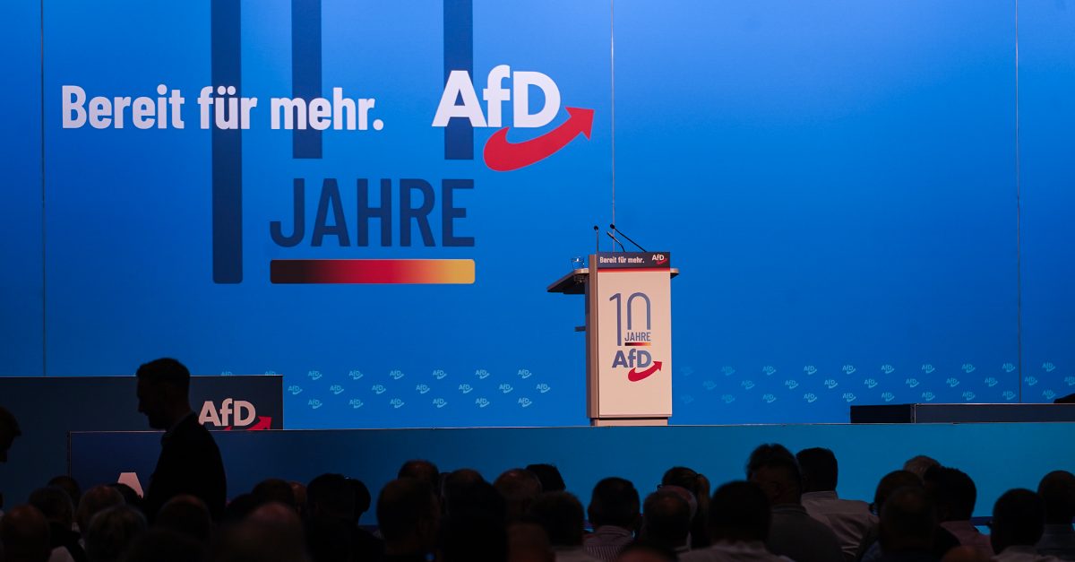 Das sind die 35. Kandidaten der AfD für die EU-Wahl 2024