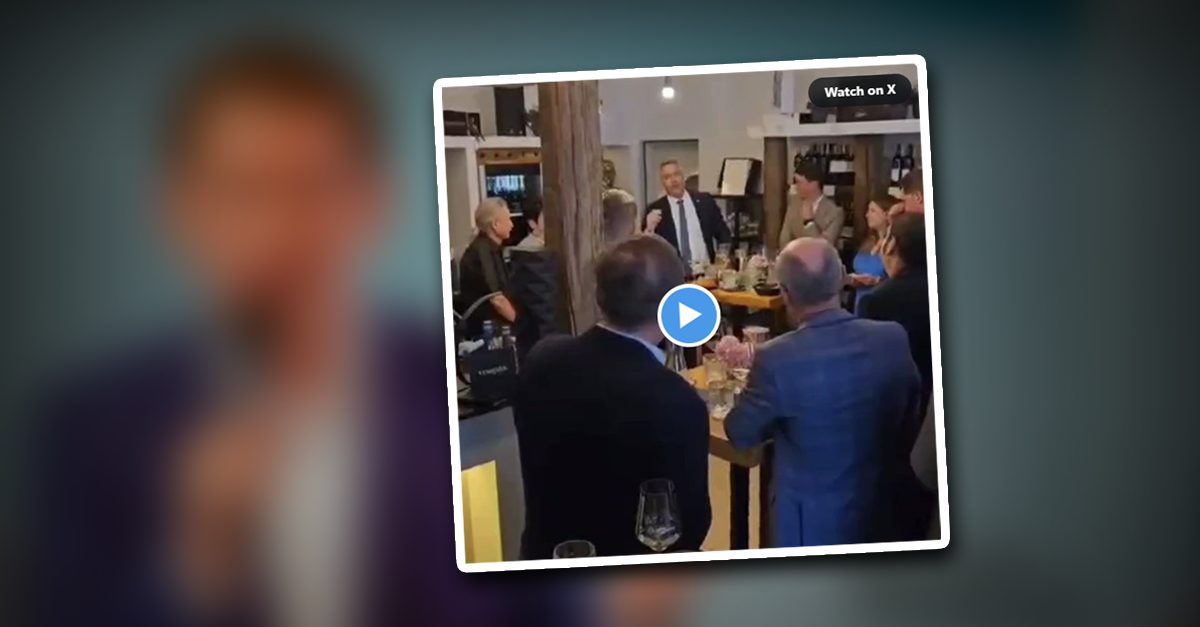 Stecken parteiinterne Intrigen hinter Nehammers Mäci-Video?