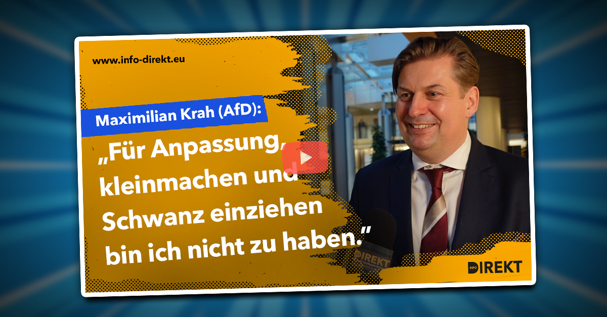 Maximilian Krah (AfD): "Jeder Angriff schafft Aufmerksamkeit!"