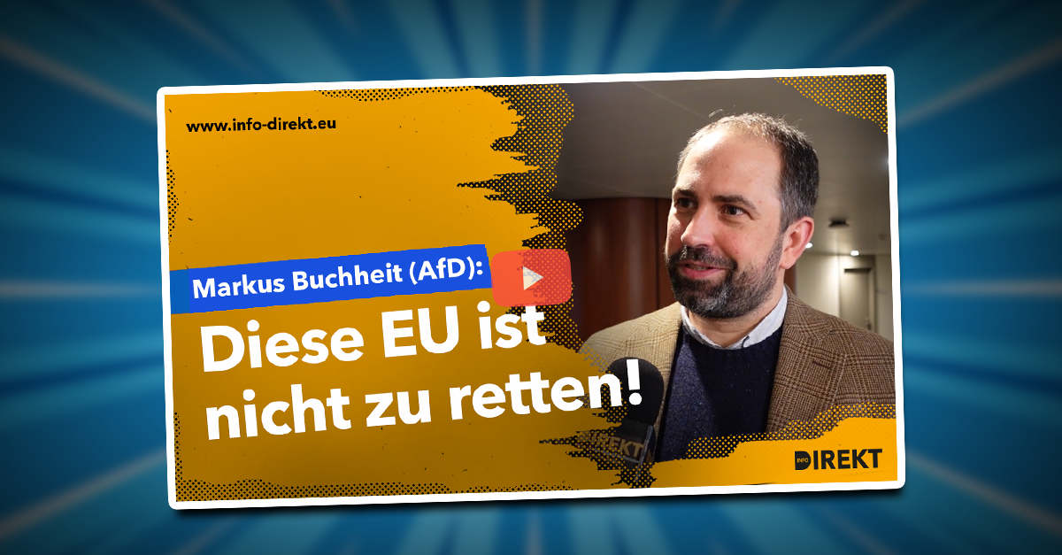 Markus Buchheit (AfD): "Diese EU ist nicht zu retten!"