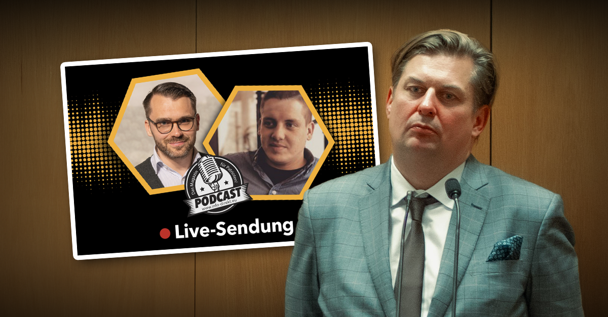 Was ist mit der AfD los? Schlechter EU-Wahlkampf & Krah-Ausschluss