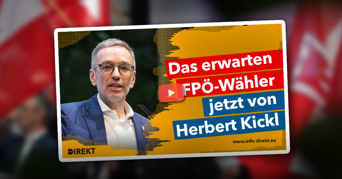Das erwarten sich FPÖ-Wähler von Herbert Kickl