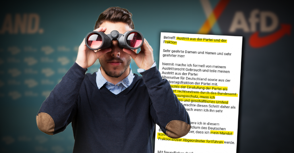 Nicht schon wieder: Liebe AfD, Augen auf bei der Kandidatenwahl!