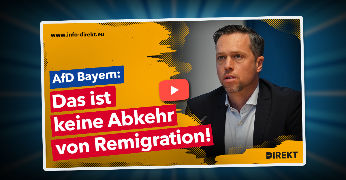 AfD Bayern stellt klar: "Das ist keine Abkehr von Remigration!"