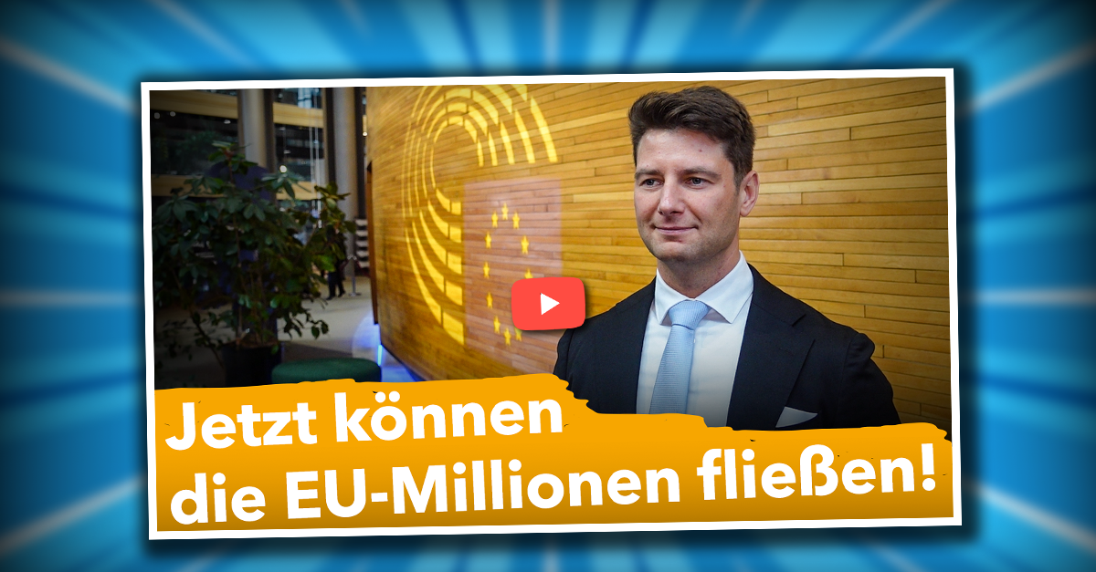 Strukturaufbau abgeschlossen: AfD und ESN sind jetzt bereit für EU-Millionen!