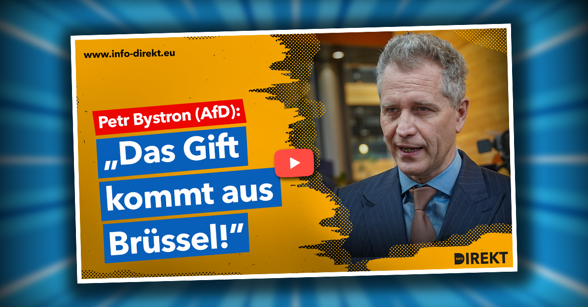 Bystron (AfD) über Wahlmanipulationen: „Das Gift kommt aus Brüssel!“