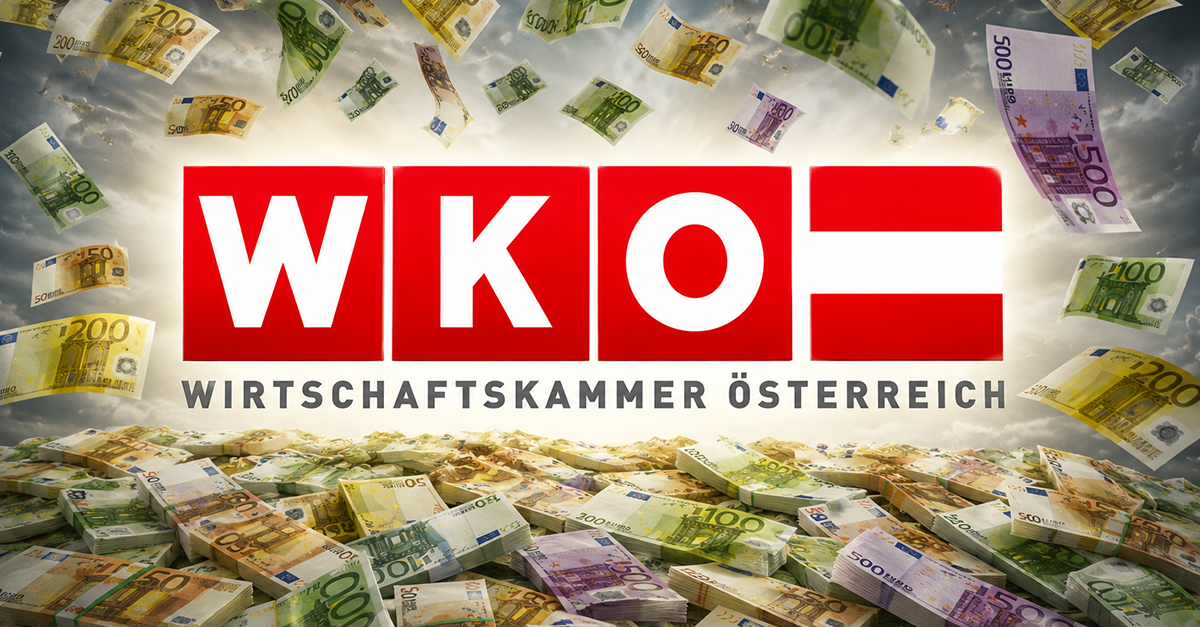 Fehlende Transparenz: Rechnungshof zerlegt WKO-Selbstdarstellung